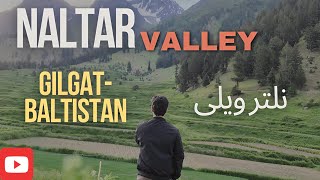 Naltar Valley Gilgit BaltistanBeautiful places in Gilgit The most beautiful place in Gilgit [upl. by Yeltnarb]