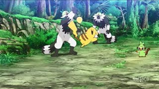 Ash Pikachu Goh and Grookey play Catch with Passimian  Pokemon Journeys English Dub [upl. by Patsis513]