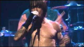 Red Hot Chili Peppers  Otherside  Live at Olympia Paris [upl. by Plafker]