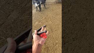 Tagging methodgoat farming bakra  businessyoutubeshorts viralvideo [upl. by Frager318]