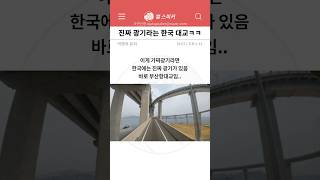 진짜 광기라는 한국 대교 ㅋㅋㅋ [upl. by Limak]