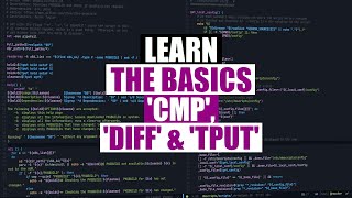 Three Amazingly Useful Linux Commands cmp diff tput [upl. by Arriat]