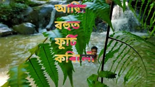 All about Lekhapani Waterfall [upl. by Hoes504]