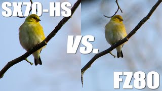 Canon SX70HS vs Panasonic FZ80 4K Video Quality Comparison [upl. by Ntsuj]