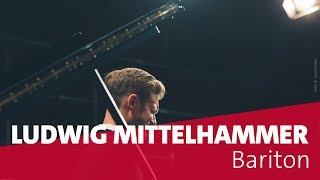 Nikolai Medtner Meeres Stille Ludwig Mittelhammer Bariton  BRKLASSIK [upl. by Atir]