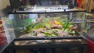 New Reptile plus Enclosure Video [upl. by Hsiwhem]