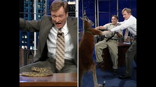 Animal Expert Jarod Miller The Kangaroo Incident  Late Night with Conan O’Brien [upl. by Carbone]