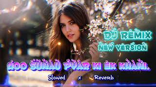 Aoo Sunau Pyar Ki ek Khani 🩷 Slowed and Reverb  hindi sorng  dj remix  remix dj hindisong [upl. by Enillebyam]