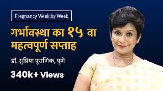 गर्भावस्था का १५ वा सप्ताह  15th week  Pregnancy week by week  Dr Supriya Puranik Pune [upl. by Gnol]