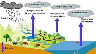 Ciclos biogeoquímicos Ciclo del Hidrógeno H o del agua H2O [upl. by Cirtap]