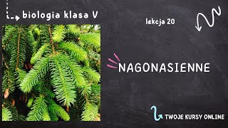 Biologia klasa 5 Lekcja 20  Nagonasienne [upl. by Egin957]