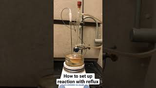 How to Set up Reaction with Reflux  Organic Chemistry [upl. by Nessej]