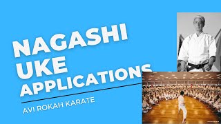 Nagashi Uke 2 applications [upl. by Thursby305]