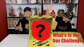 WHATS IN THE BOX CHALLENGE [upl. by Bergin]