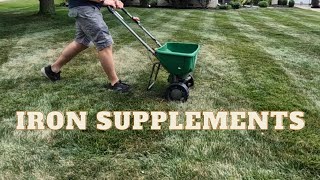 How to get a Greener Lawn Does it work [upl. by Nosniv]