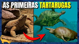 ORIGEM e EVOLUÇÃO das TARTARUGAS Testudines e Testudinata [upl. by Felita]