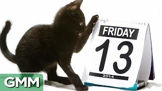 Friday the 13th Facts [upl. by Denie]