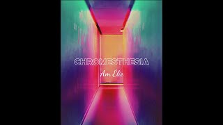 Am Élie  Chromesthesia Official Vertical Lyric Video [upl. by Alyworth]