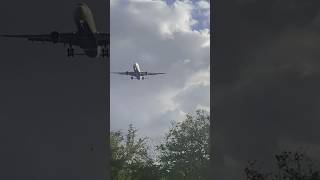 TPA Airport Planespotting [upl. by Skees540]