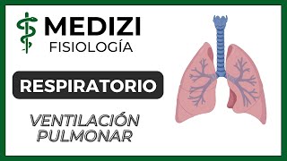 Clase 37 Fisiología Respiratoria  Ventilación Pulmonar IGdoctorpaiva [upl. by Binah]