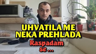 RASPADAM SE  Savladala me neka PREHLADA [upl. by Branden819]