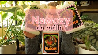 Nawozy do roślin  czego ja używam aby rośliny zdrowo rosły [upl. by Corsiglia267]