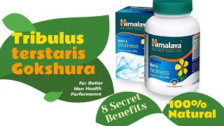 Himalaya Tribulus terstaris Gokshura capsules for men health uses and side effects  Medic Health [upl. by Marianne]