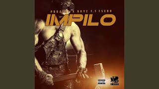 Impilo feat Tsebo [upl. by Trstram776]