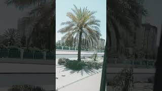 Khaitan areas kuwait [upl. by Laurice]