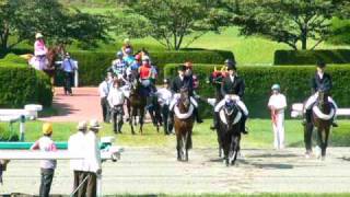 ドリームジャーニー 久々のＧ１勝利【2009宝塚記念】 [upl. by Edra348]