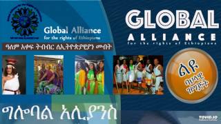 Tamagne Beyene on ESAT about Global Alliance Event in Washington DC [upl. by Latsyrcal]