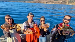 20241108 Bodega Bay Crabbing Open Limits california Dungeness Crab [upl. by Erdei]