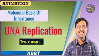 DNA Replication explained easily I Biology for NEET and AIIMS [upl. by Tsan]