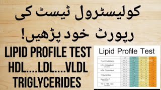 How to Read Cholesterol Test Report Urdu Hindi  Lipid profile Test  HDL LDL amp Triglycerides Test [upl. by Nekcarb789]