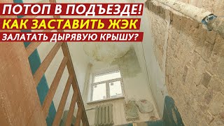 ПОТОП В ПОДЪЕЗДЕ КАК ЗАСТАВИТЬ ЖЭК ЗАЛАТАТЬ ДЫРЯВУЮ КРЫШУ [upl. by Glad]