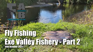 Fly Fishing Exe Valley Fishery  14th October 2021  Part 2 [upl. by Dulsea]