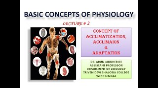 Acclimatization Acclimation and Adaptation [upl. by Lander]