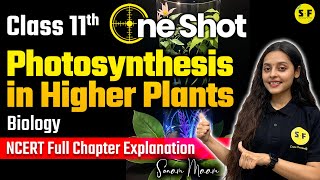 Photosynthesis in Higher Plants FULL CHAPTER  Class 11th Botany  Arjuna NEET [upl. by Ahseenat]