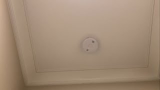 Testing Kidde 10 year lithium sealed battery smoke alarms [upl. by Little]