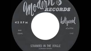 1956 HITS ARCHIVE Stranded In The Jungle  Cadets [upl. by Riatsila]