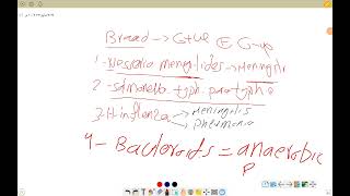 33 amphenicols and macrolides [upl. by Anirahs]