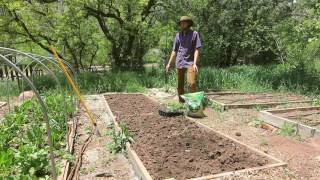 Amending Raised Bed Soil [upl. by Eloise101]