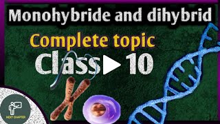 monohybrid and dihybrid cross class 10  heredity and evolution  class 10 science [upl. by Eimaral]