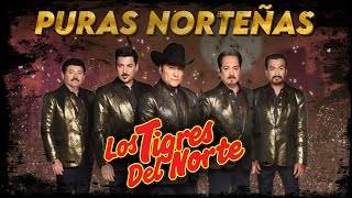 🎶 Los Tigres del Norte Puras Norteñas Chingonas y Corridos Que No Puedes Dejar de Escuchar 🌵🎸LETRA [upl. by Adnamahs820]