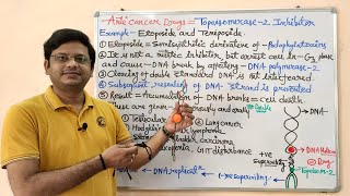 Anticancer Drugs Part13Topoisomerase 02 Inhibitors  Etoposide and Teniposide  Anticancer Drug [upl. by Dnomar433]