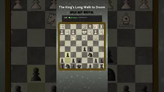 masterful 13Move checkmate by black chess games chessgame top trending chessshorts [upl. by Glyn909]