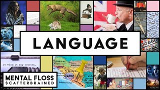 Everything You Need to Know About English and Other Languages  Mental Floss Scatterbrained [upl. by Lovel]