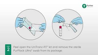 How to Swab for the Flu Collecting a Nasopharyngeal Swab Specimen [upl. by Nnaj]