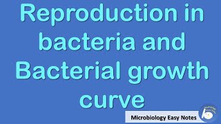 Bacterial growth curve and generation time calculation [upl. by Marlin826]