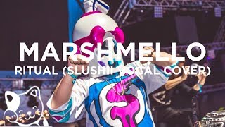 Marshmello  Ritual Slushii Vocal Cover [upl. by Ripleigh]